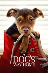 A Dog’s Way Home (2019)