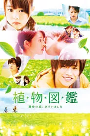 Evergreen Love (2016)