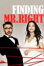 Finding Mr. Right (2013)