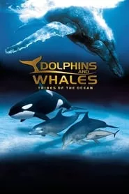 IMAX Dolphins and Whales: Tribes of the Ocean (2008)