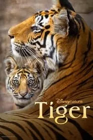 Tiger (2024)