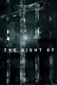 The Night Of (2016) Season 1